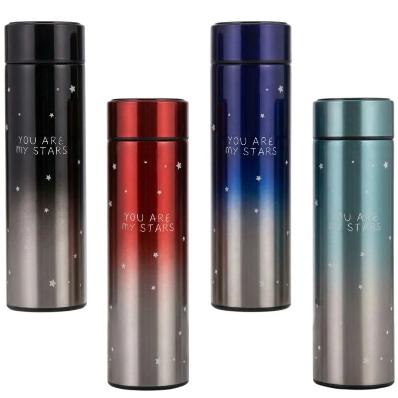 LED Temperature Display Water Bottle