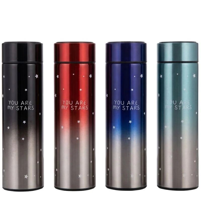 LED Temperature Display Water Bottle