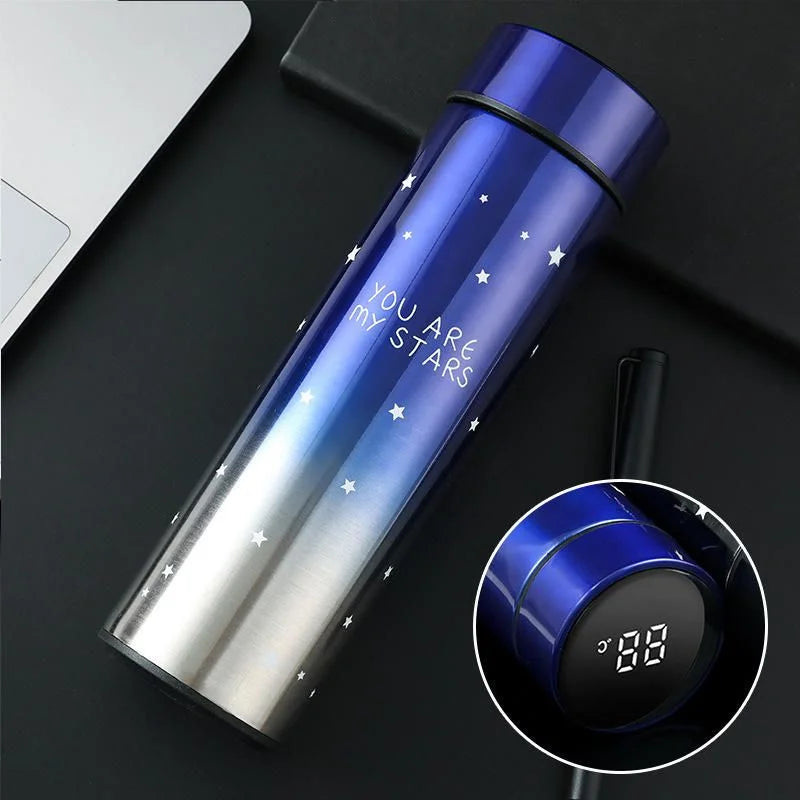 LED Temperature Display Water Bottle