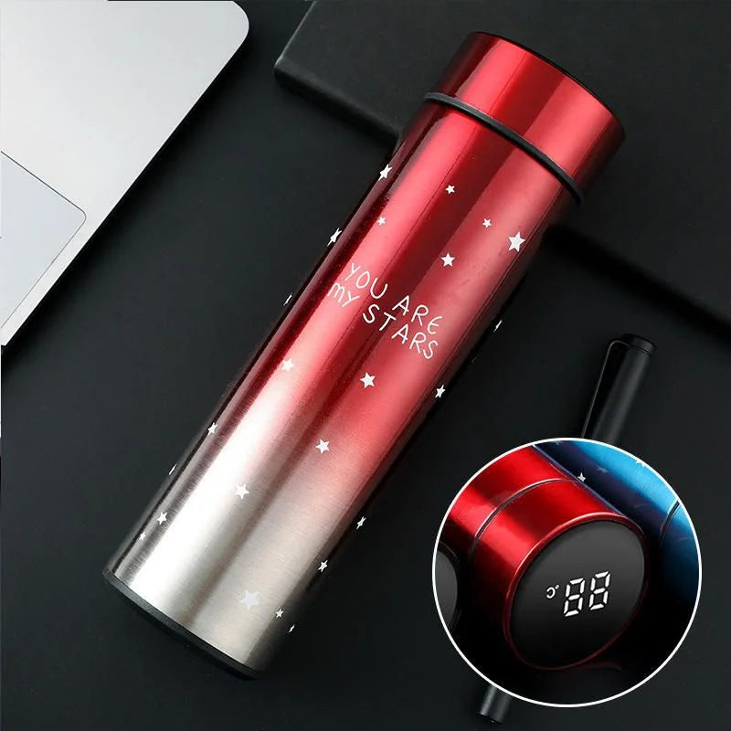 LED Temperature Display Water Bottle