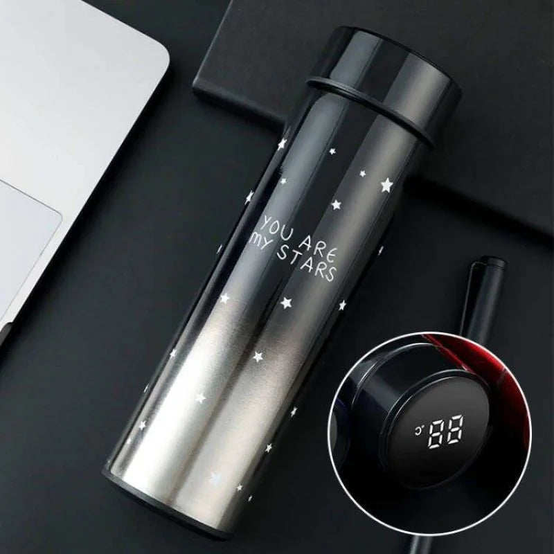 LED Temperature Display Water Bottle