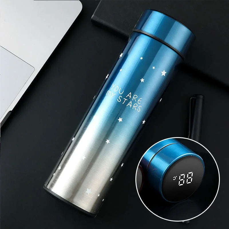 LED Temperature Display Water Bottle